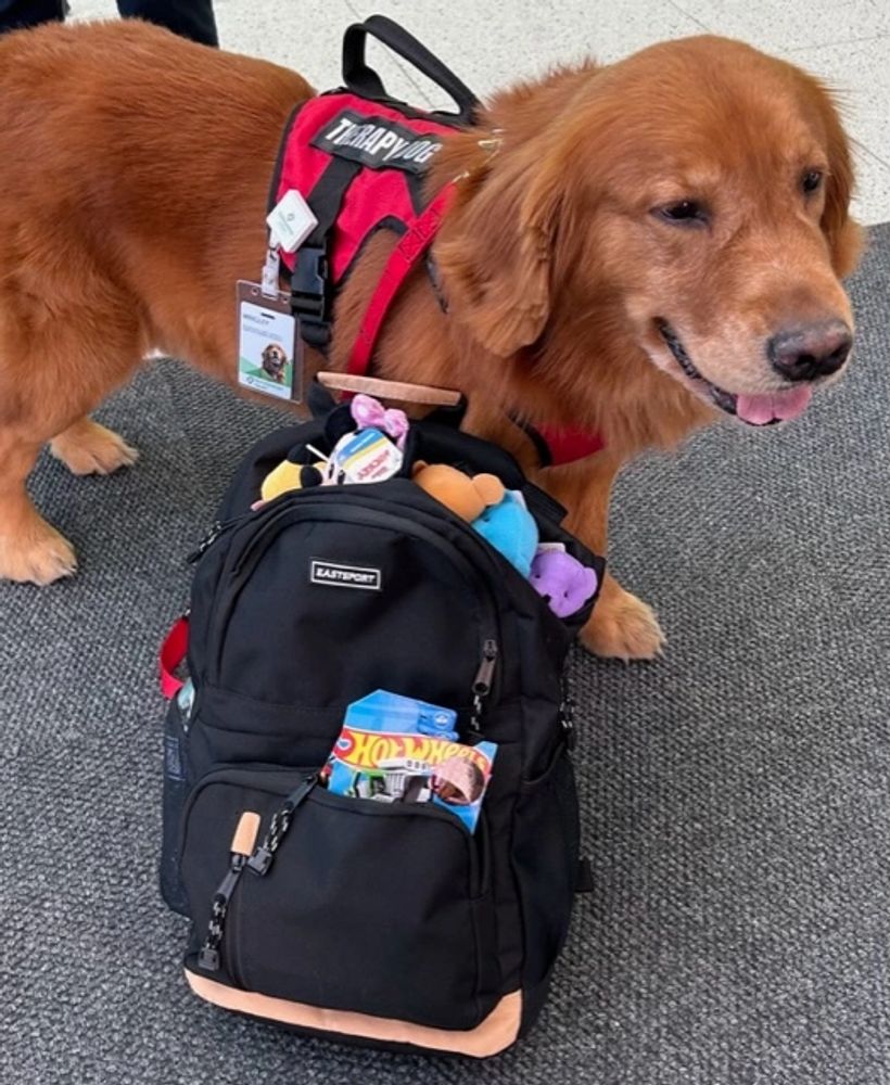 Akc emotional support sales dog